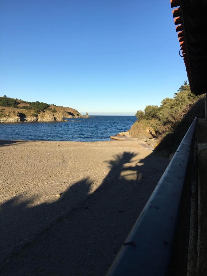 Les Pieds Dand L'Eau Apartment Banyuls-sur-Mer Exterior foto