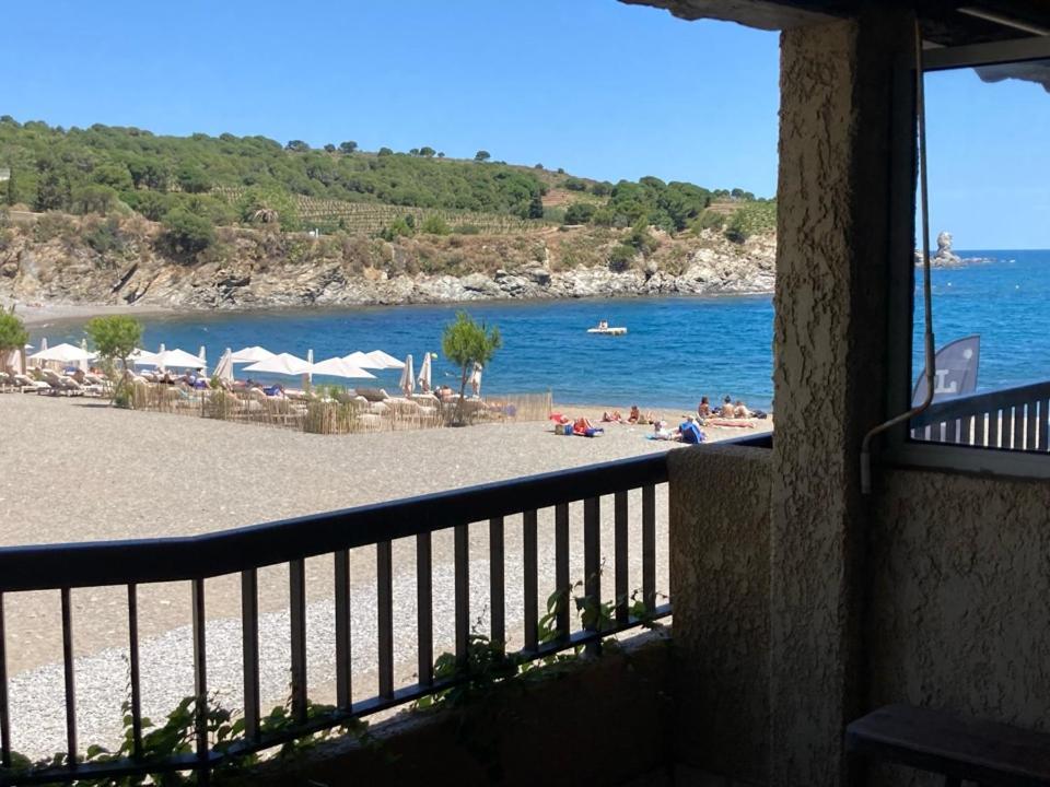 Les Pieds Dand L'Eau Apartment Banyuls-sur-Mer Exterior foto
